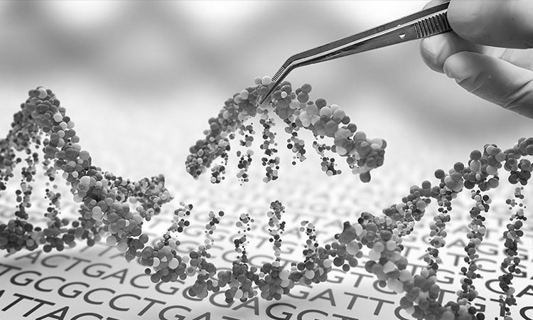 Notre vision et nos missions